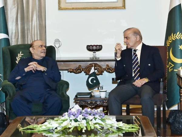 shehbaz sharif and asif zardari1790871242 0