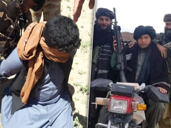 taliban arrest two staff of uno in afghanistan1786565210 0