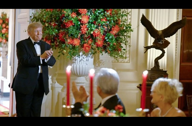trump bald d