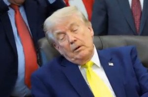 trump fame l