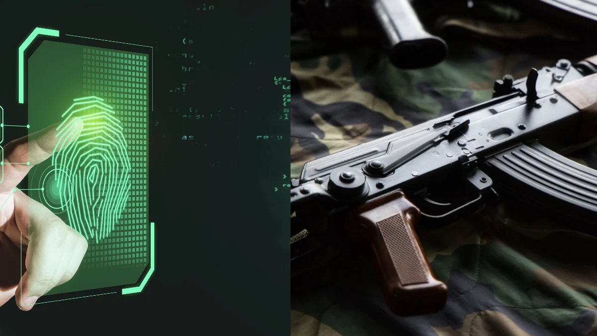 weapon licence