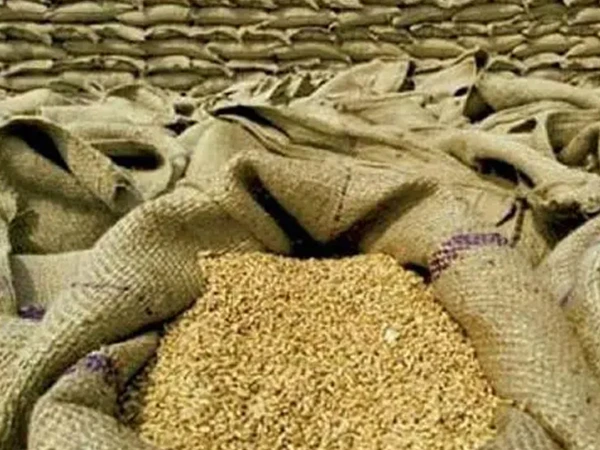 wheat1784588640 0