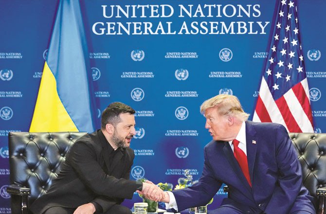 zelensky trump d