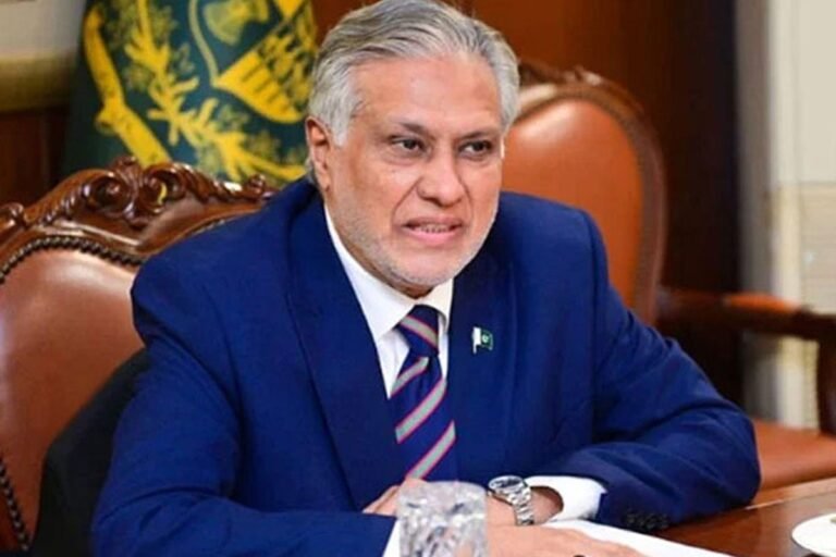 او آئی سی وزارتی اجلاس میں شرکت کیلیے اسحاق ڈار کل سعودی عرب روانہ ہوں گے