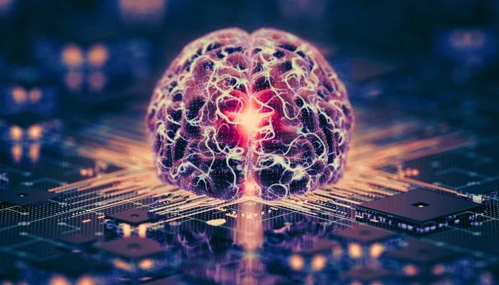 انسانی دماغ کے کمپیوٹر.webp
