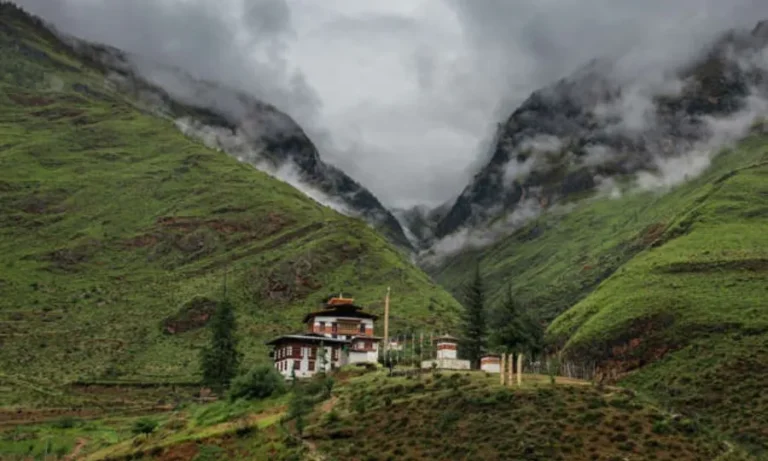 دنیا کا سب سے صاف اور سرسبز ملک کون سا؟ نام حیران کردے گا
