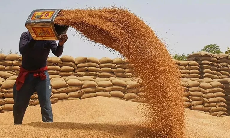 سندھ حکومت کا صوبے میں قیمتوں میں استحکام کے لیے سرکاری گندم جاری کرنے کا فیصلہ