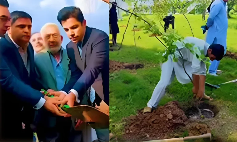 اسلام آباد بھر میں سی ڈی اے کی شجرکاری مہم بھرپور انداز میں جاری