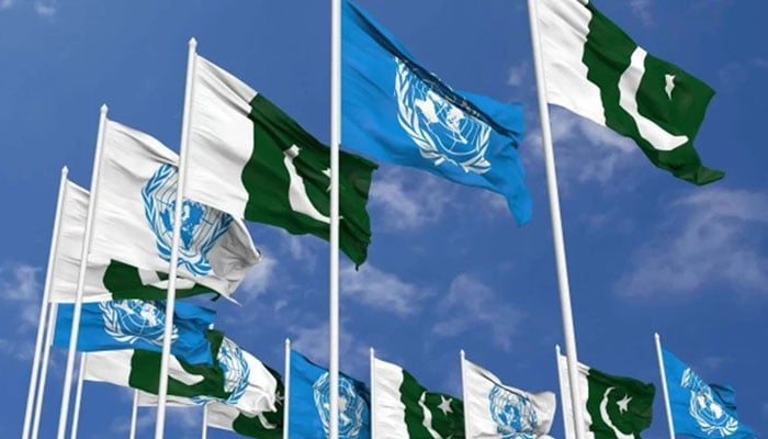 پاکستان اگلے ماہ سلامتی کونسل کی صدارت سنبھالے گا