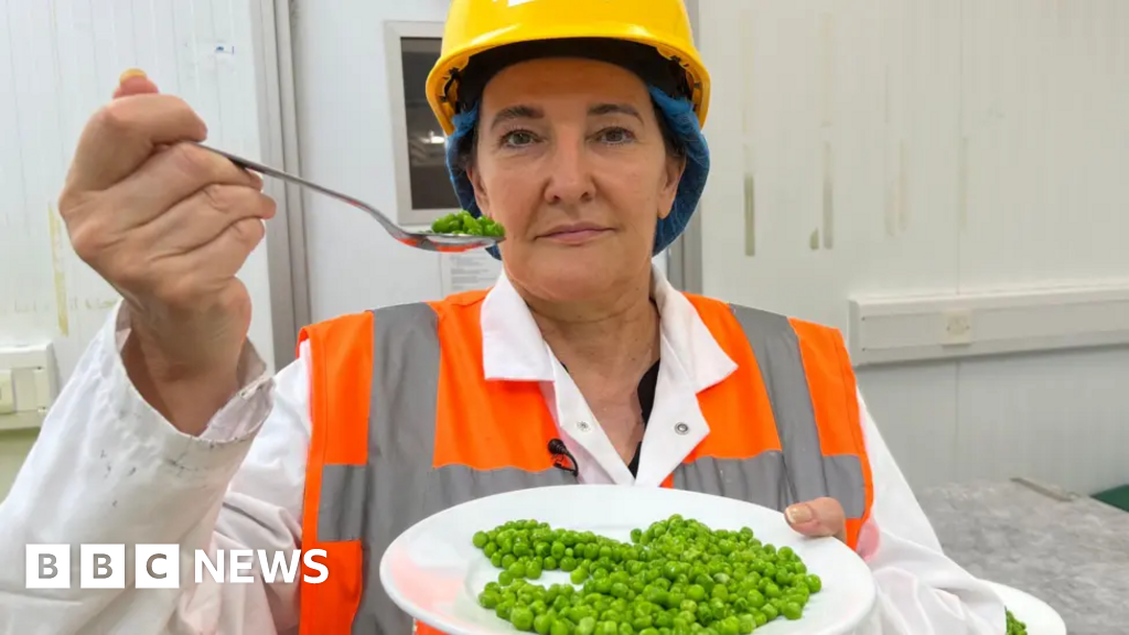 Hull taster tests 32 plates of peas a day and eats more for tea