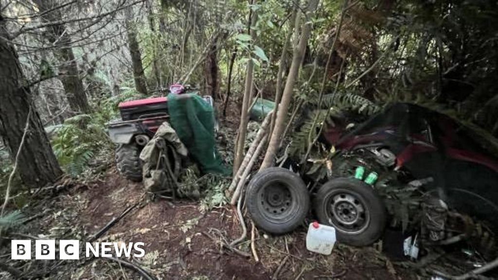 Tom Phillips: Police release photos of site where New Zealand bushman hid children