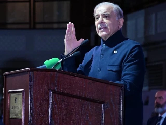 PM rallies diaspora for unity, solidarity | The Express Tribune
