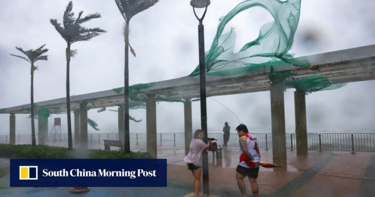 Blanket ban on storm chasing in Hong Kong unnecessary, lawyers say