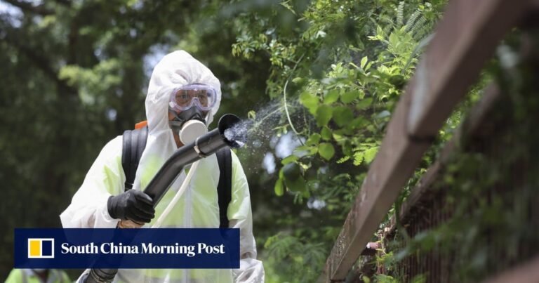 Global warming and increased travel drive surge in Hong Kong dengue infections