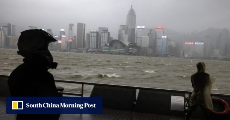 Extreme-weather body tasked with improving Hong Kong’s typhoon-response work