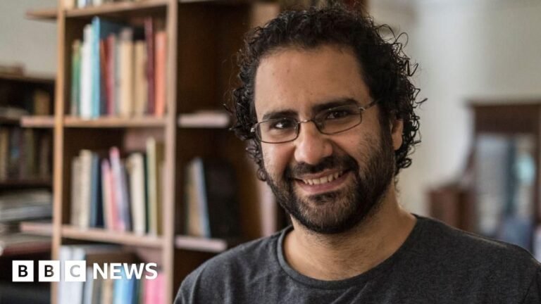 Alaa Abdel Fattah: Egypt's president pardons prominent activist