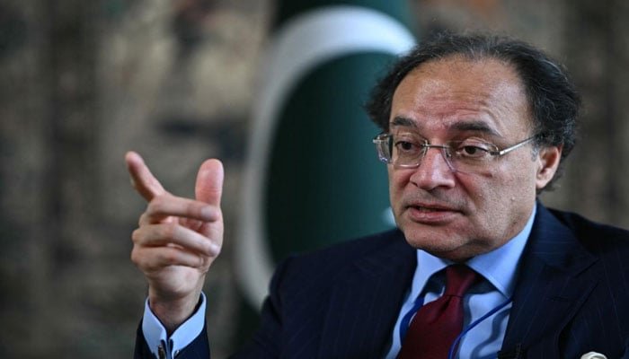 Pakistan Declares Climate and Agricultural Emergency: Finance Minister