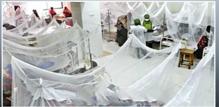 Pakistan Issues Dengue Alert in 10 Major Cities Amid Post-Monsoon Risks