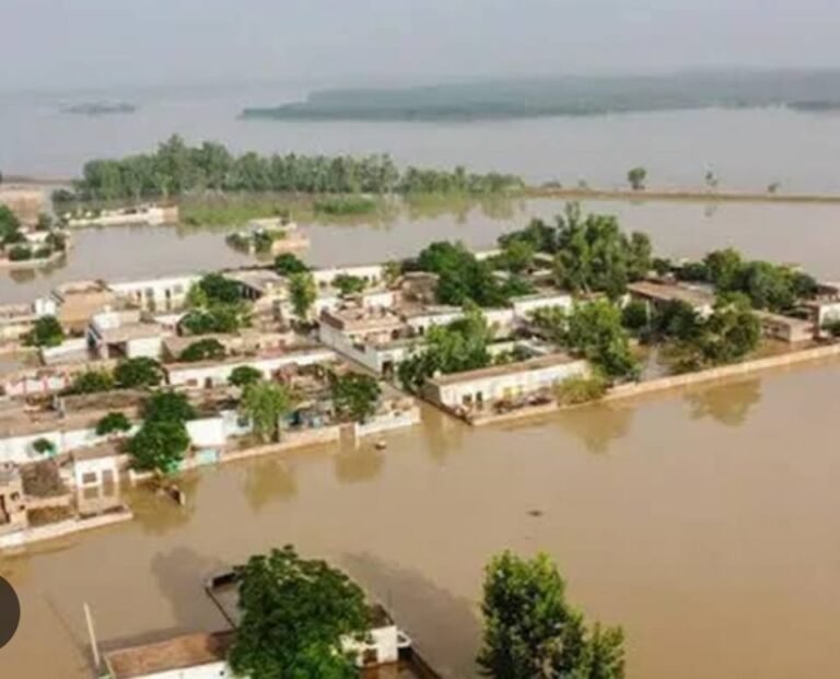 Punjab Issues Flood Damage Report, Survey to be Completed in One Month