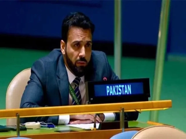 Pakistan hits back at India's UN jibe | The Express Tribune