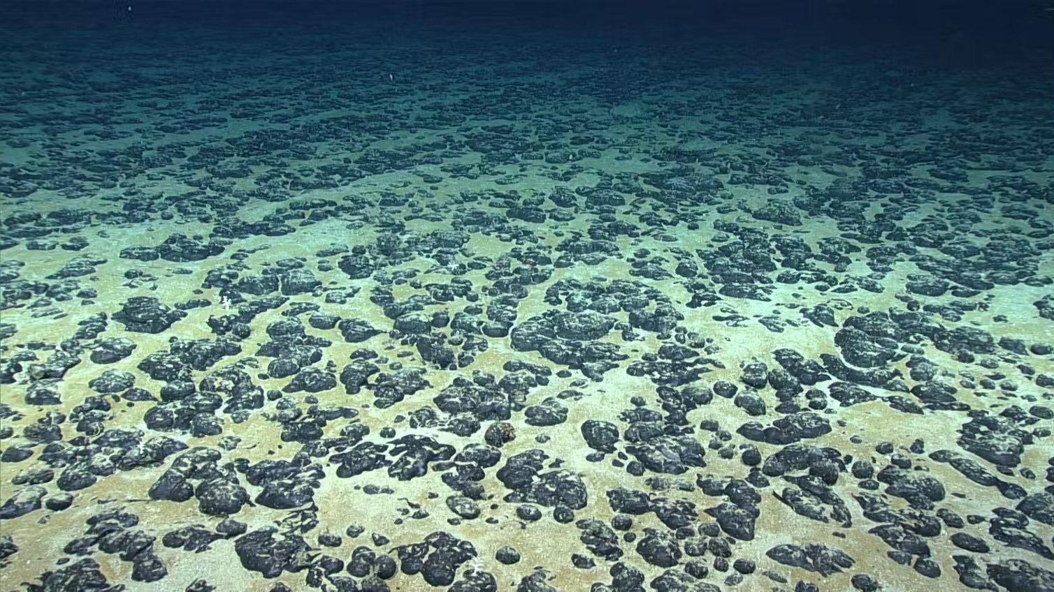 Landmark treaty could protect high seas – and spark new conflicts