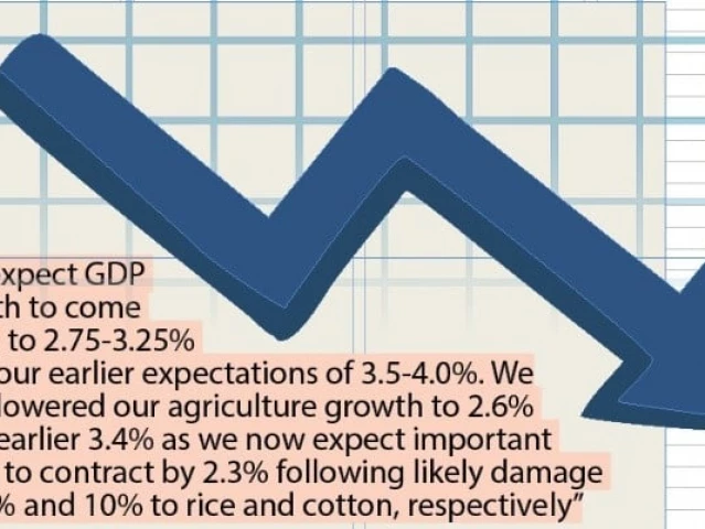 Private forecasts flag steeper GDP fall | The Express Tribune