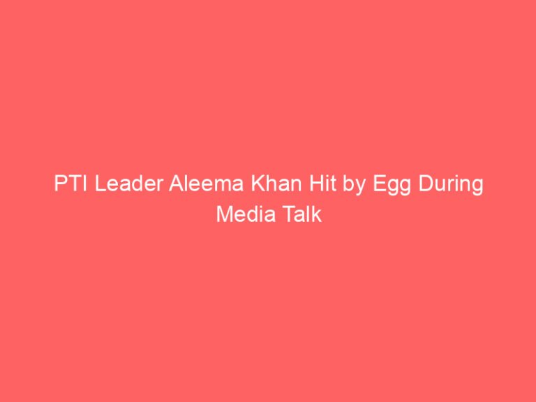 PTI Leader Aleema Khan Hit by Egg During Media Talk