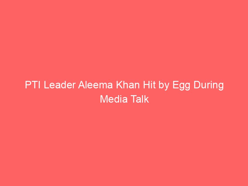pti leader aleema khan hit by egg during media talk 5414