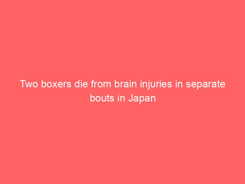 two boxers die from brain injuries in separate bouts in japan 2218