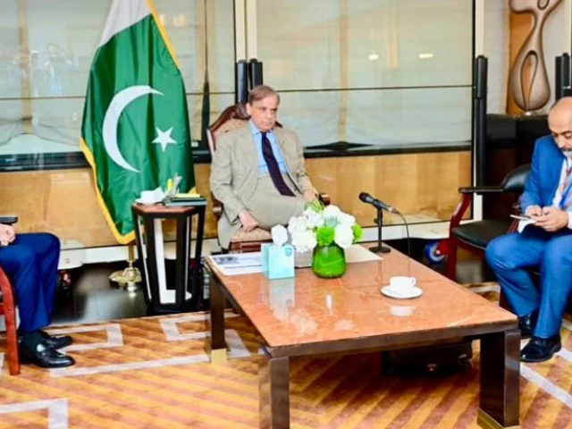 PM calls for urgent damage reports in flood-hit regions | The Express Tribune
