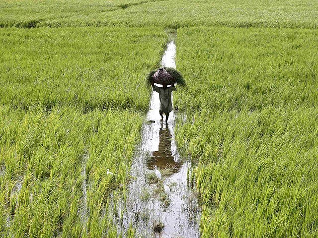 China, Pakistan sign RMB 5b water deal | The Express Tribune