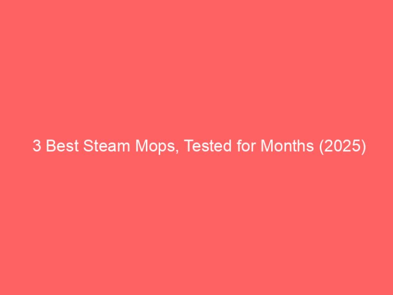 3 Best Steam Mops, Tested for Months (2025)