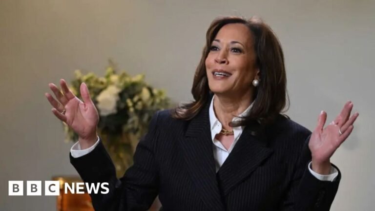 Kamala Harris 'concerned' she did not ask Biden to quit race
