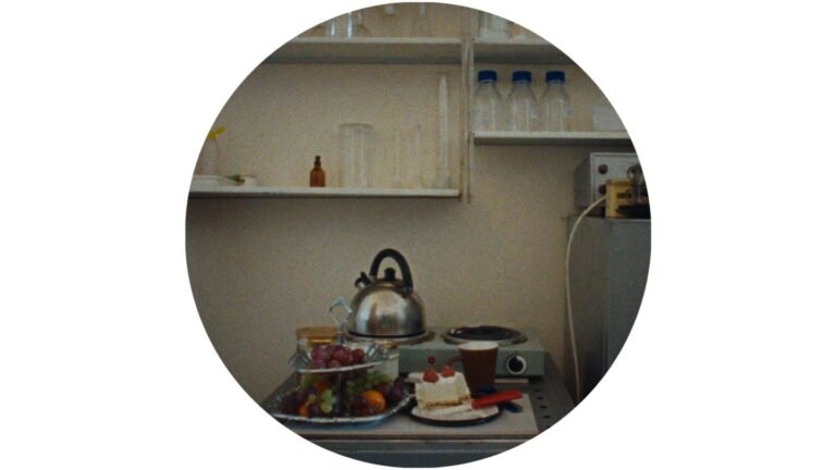 Doc ‘Holy Destructors’ Zooms in on a Cosmos of Blooming Microfungi (Exclusive IDFA Trailer)