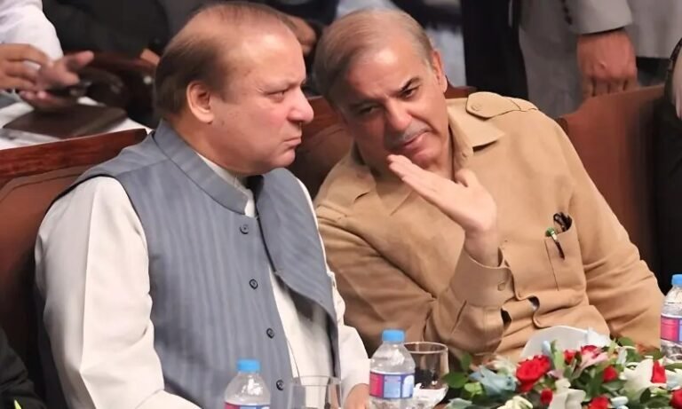 PM Shehbaz, Nawaz Sharif discuss tensions along Pakistan-Afghanistan border