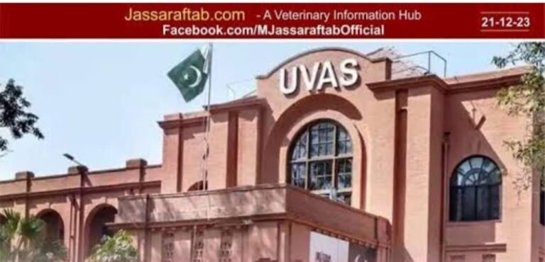 UVAS Observes Kashmir Black Day to Express Solidarity with People of Jammu & Kashmir