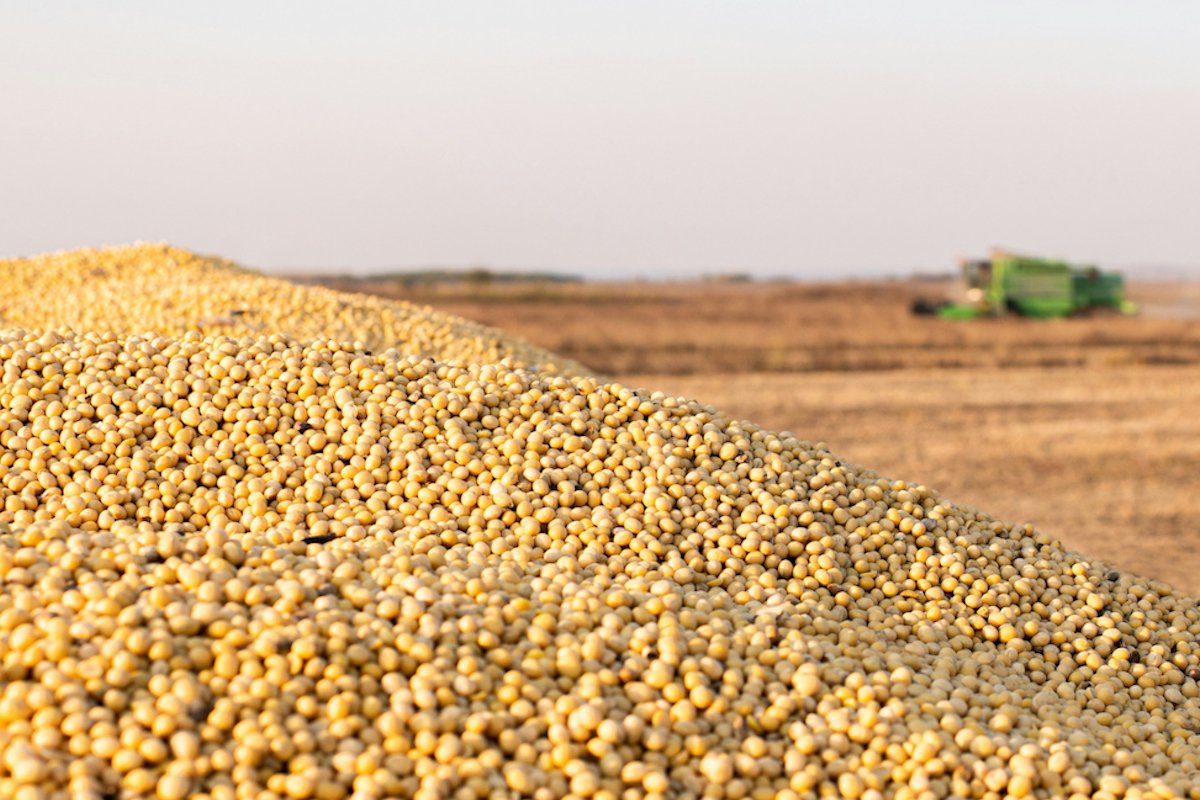 How Vietnam could ease Trump’s China soybean pain