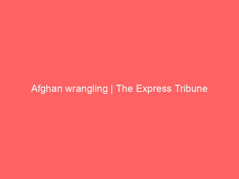 afghan wrangling the express tribune 10343