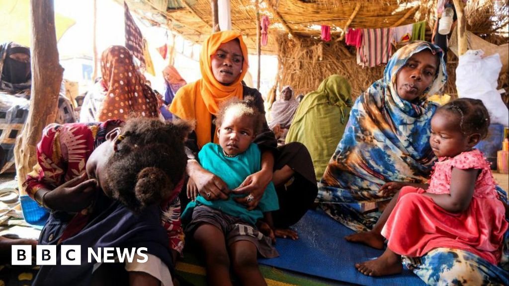 El-Fasher attack: Dozens killed in drone strike in besieged Sudan city
