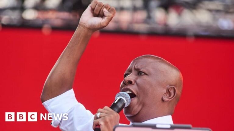 Julius Malema: South African firebrand MP convicted of firing a gun in public