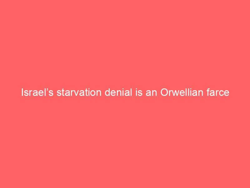 israels starvation denial is an orwellian farce 2098