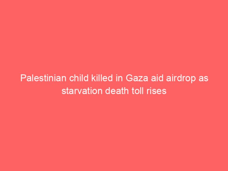 Palestinian child killed in Gaza aid airdrop as starvation death toll rises