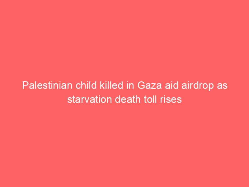 palestinian child killed in gaza aid airdrop as starvation death toll rises 2101