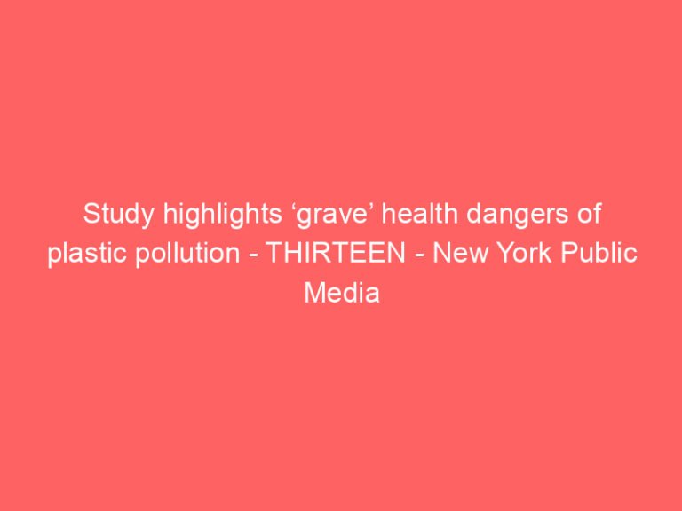 Study highlights ‘grave’ health dangers of plastic pollution – THIRTEEN – New York Public Media