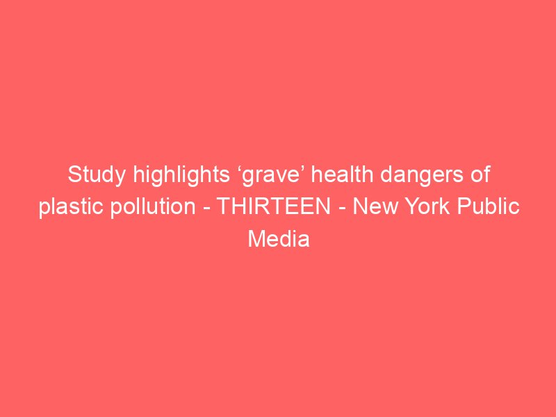study highlights grave health dangers of plastic pollution thirteen new york public media 2117