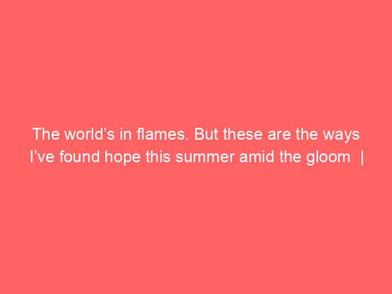 The world’s in flames. But these are the ways I’ve found hope this summer amid the gloom  | Jonathan Freedland