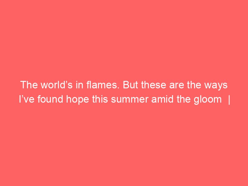 the worlds in flames but these are the ways ive found hope this summer amid the gloom jonathan freedland 2 130