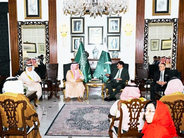 Sindh CM woos Saudi businessmen to invest in energy, agri sectors | The Express Tribune
