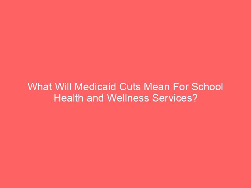 what will medicaid cuts mean for school health and wellness services 113