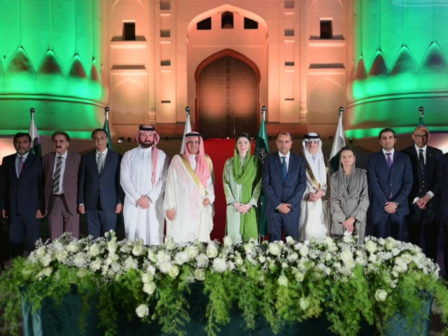 Saudi investors offered 10-year tax waiver | The Express Tribune